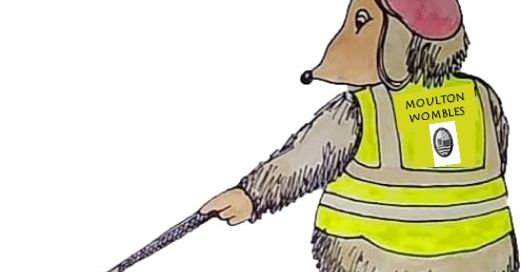 Read more about the article Litter Pick